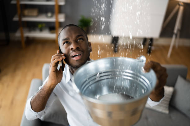 Best Mold removal after water damage  in Hialeah Gardens, FL