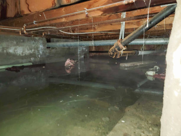 Best Water damage restoration near me  in Hialeah Gardens, FL