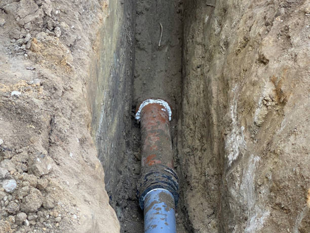 Best Flood restoration services  in Hialeah Gardens, FL