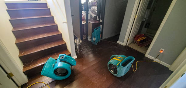 Local water damage restoration in FL