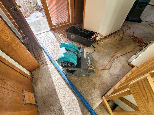 Best 24-hour water damage restoration  in Hialeah Gardens, FL