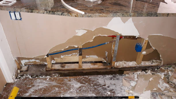 Best Flood damage cleanup  in Hialeah Gardens, FL