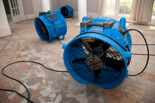 Best Local water damage restoration  in Hialeah Gardens, FL