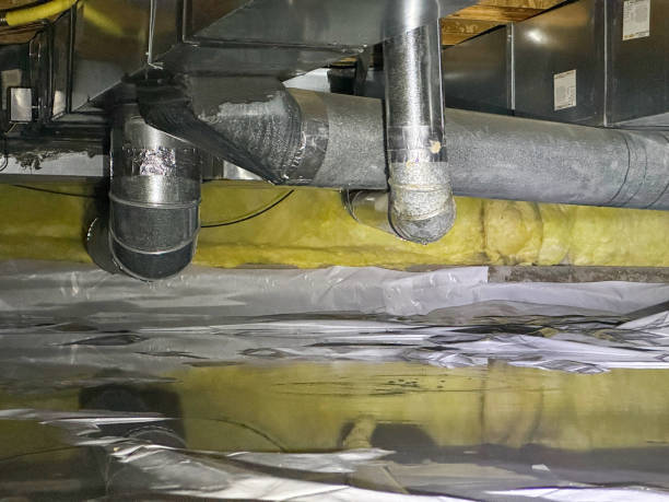 Best Professional water damage repair  in Hialeah Gardens, FL