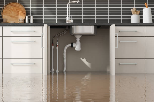 Best Water damage cleanup near me  in Hialeah Gardens, FL