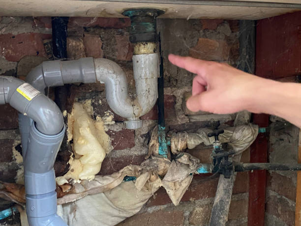 Best Residential water damage restoration  in Hialeah Gardens, FL
