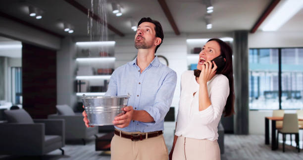 Best Fire Damage Restoration  in Hialeah Gardens, FL