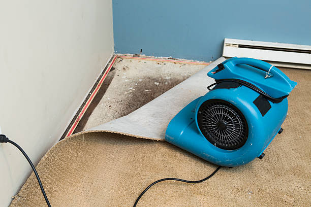 Best Flood restoration services  in Hialeah Gardens, FL